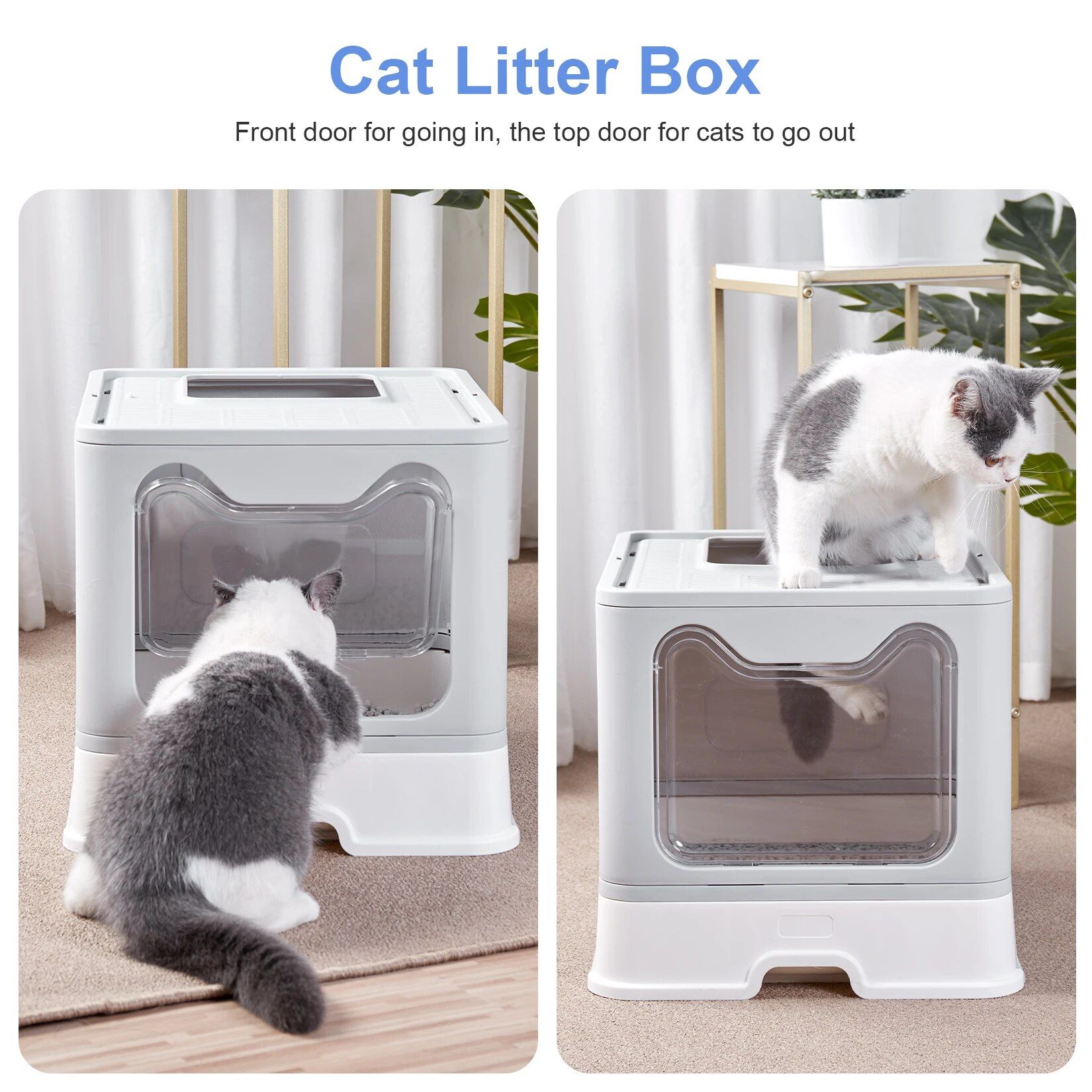 Cat Litter Box with Lid 