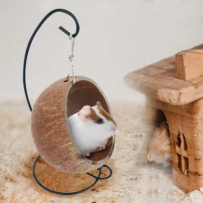 Coconut Shell Hamster Sleep House 