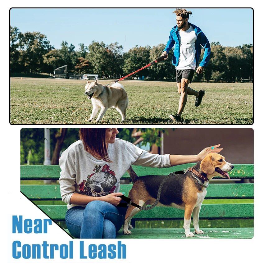 Dog Leash Reflective Elastic 