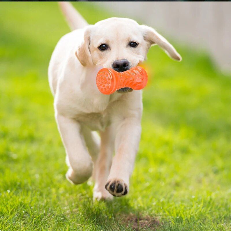 Durable Rubber Dog Chew Toy: Interactive Puppy Teething & Play Bone 
