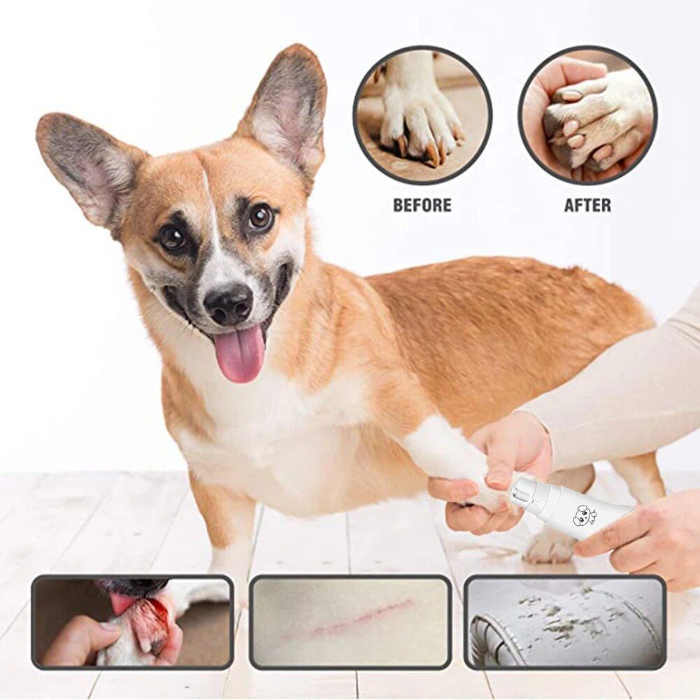 Electric Pet Nail Grinder for Cats & Dogs 