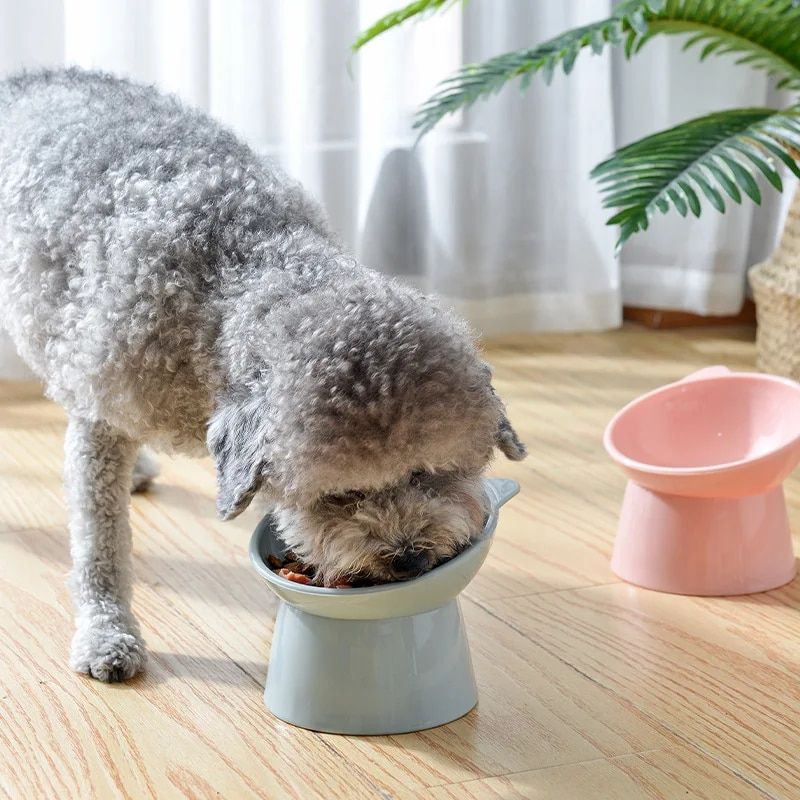 Ergonomic High-Foot Pet Bowl for Cats & Dogs 