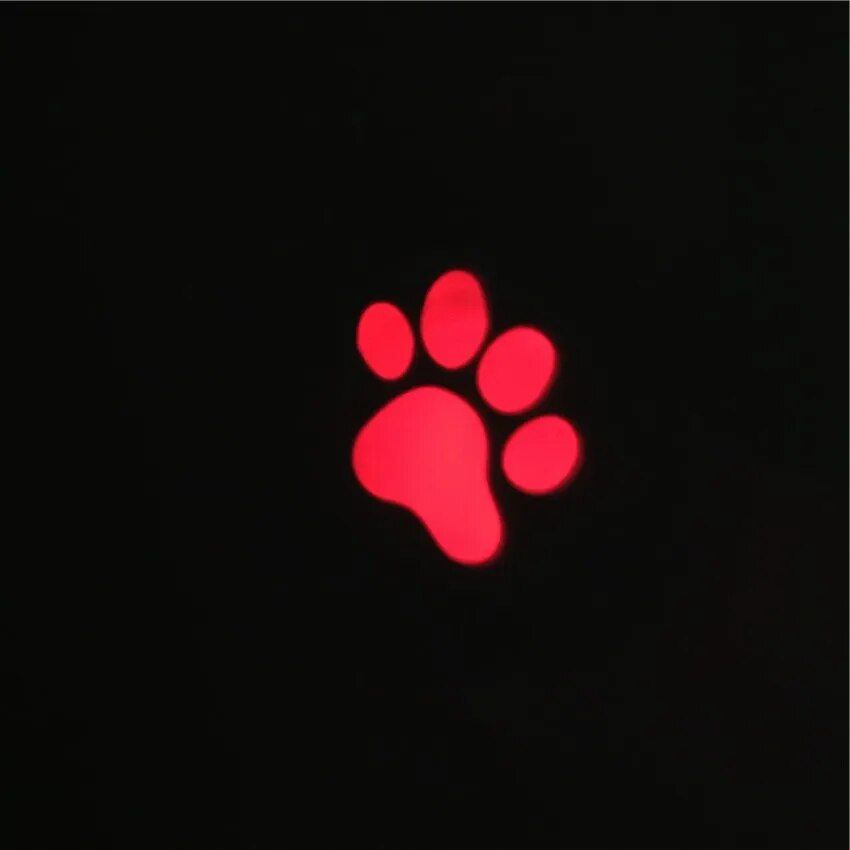 Interactive Cat Laser Toy with Animated Mouse Projection 