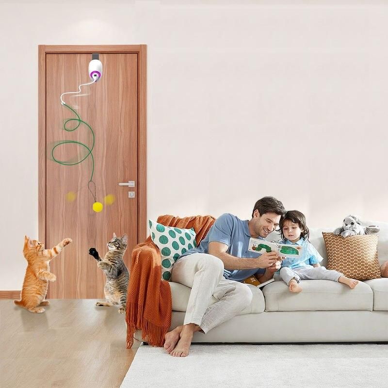 Interactive Electric Cat Toy: Door-Hanging, USB Rechargeable Teaser with Adjustable Rope & Accessories 