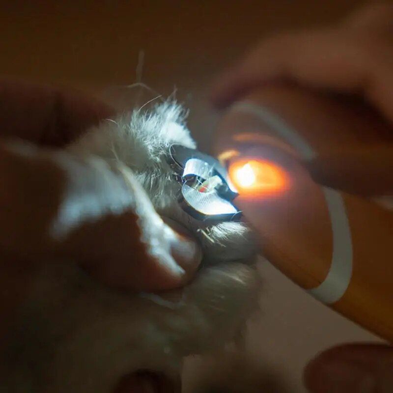 LED Light Pet Nail Clipper Scissors for Pets 