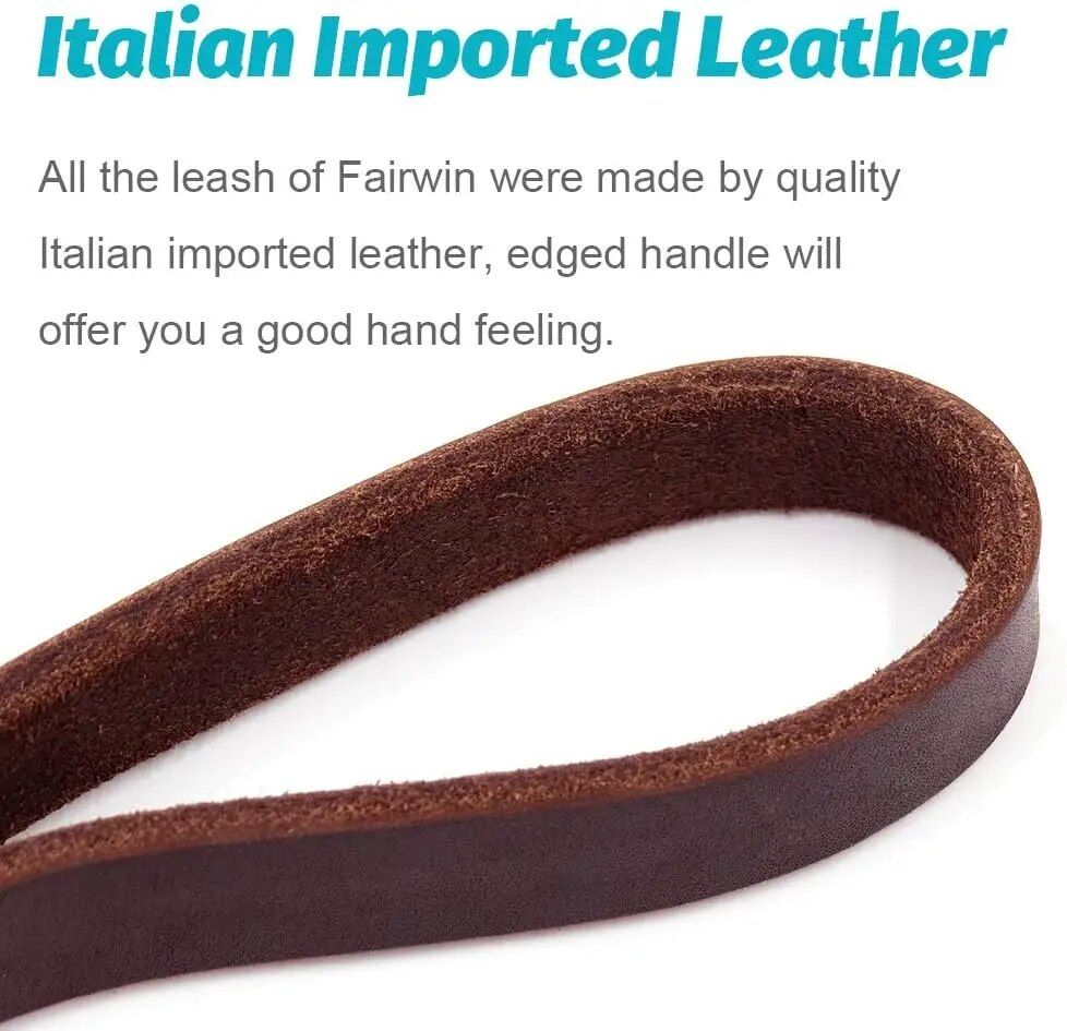Premium Braided Leather Dog Leash 