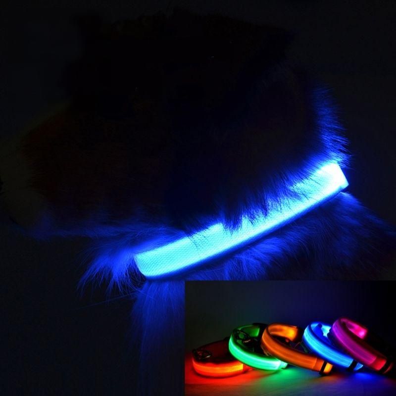 Premium LED Pet Collar 