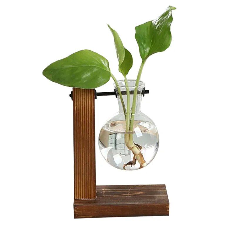Terrarium Hydroponic Plant Vases Style: Type A 