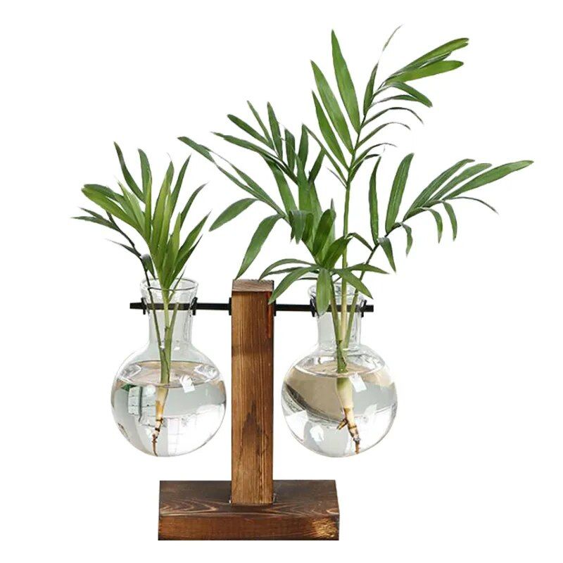Terrarium Hydroponic Plant Vases Style: Type B 